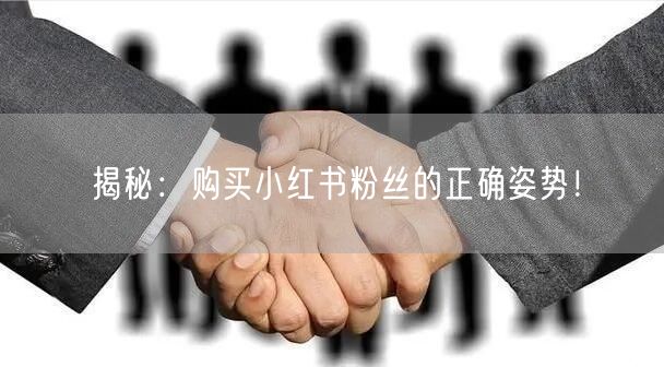 揭秘：购买小红书粉丝的正确姿势！