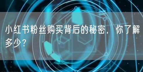 小红书粉丝购买背后的秘密，你了解多少？