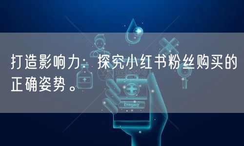 打造影响力：探究小红书粉丝购买的正确姿势。