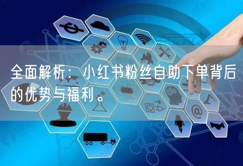 全面解析：小红书粉丝自助下单背后的优势与福利。