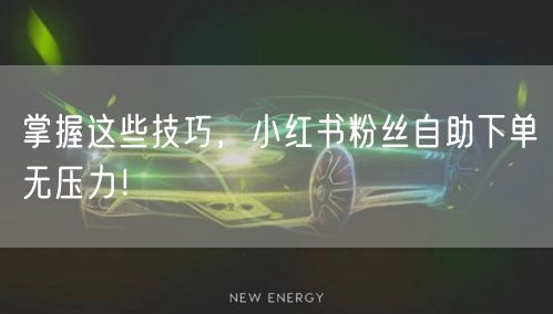 掌握这些技巧,小红书粉丝自助下单无压力!