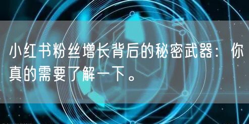 小红书粉丝增长背后的秘密武器：你真的需要了解一下。