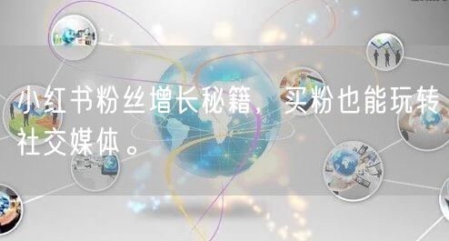 小红书粉丝增长秘籍，买粉也能玩转社交媒体。