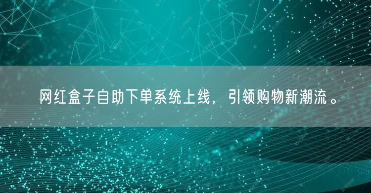 网红盒子自助下单系统上线，引领购物新潮流。