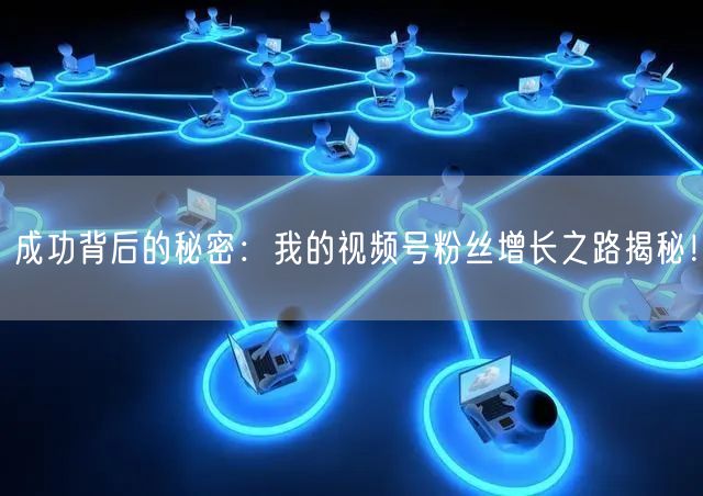 成功背后的秘密：我的视频号粉丝增长之路揭秘！