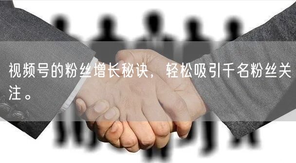 视频号的粉丝增长秘诀，轻松吸引千名粉丝关注。