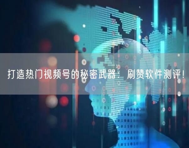 打造热门视频号的秘密武器：刷赞软件测评！