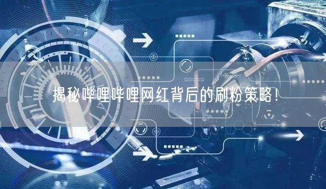 揭秘哔哩哔哩网红背后的刷粉策略！