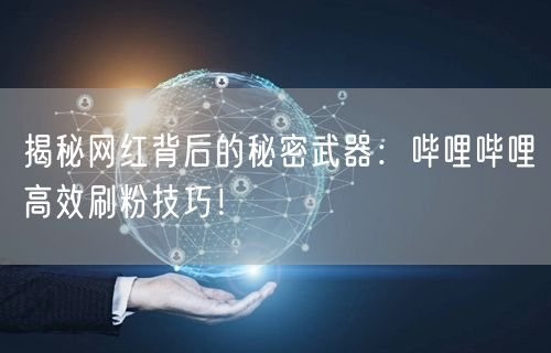 揭秘网红背后的秘密武器：哔哩哔哩高效刷粉技巧！