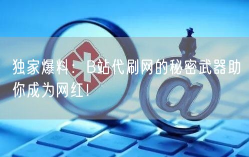 独家爆料：B站代刷网的秘密武器助你成为网红！