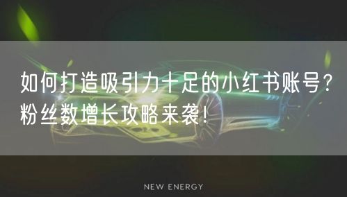 如何打造吸引力十足的小红书账号？粉丝数增长攻略来袭！