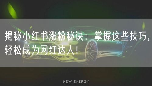 揭秘小红书涨粉秘诀：掌握这些技巧，轻松成为网红达人！