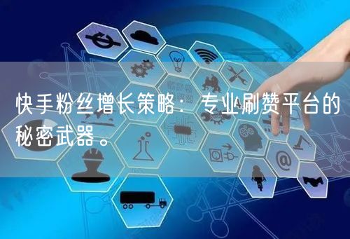 快手粉丝增长策略：专业刷赞平台的秘密武器。