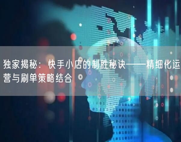 独家揭秘：快手小店的制胜秘诀——精细化运营与刷单策略结合