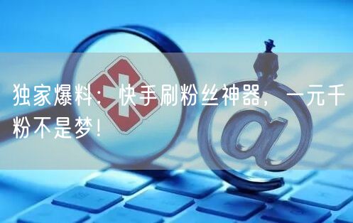 独家爆料:快手刷粉丝神器,一元千粉不是梦!