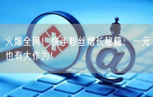 火爆全网！快手粉丝增长秘籍：一元也有大作为！