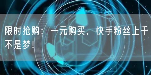 限时抢购：一元购买，快手粉丝上千不是梦！