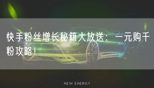 快手粉丝增长秘籍大放送：一元购千粉攻略！