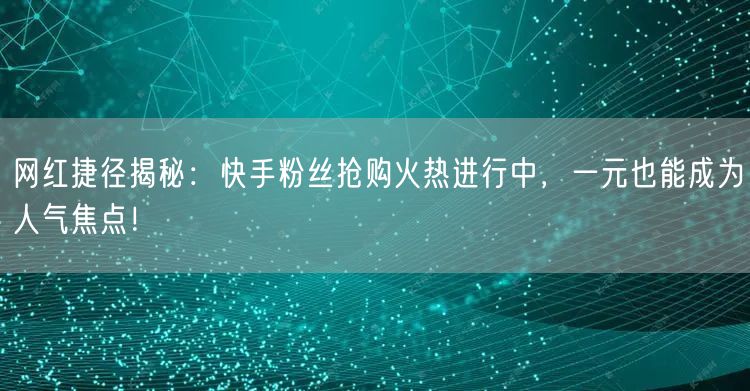 网红捷径揭秘：快手粉丝抢购火热进行中，一元也能成为人气焦点！