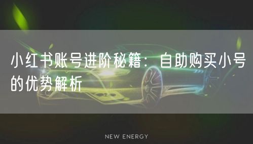 小红书账号进阶秘籍：自助购买小号的优势解析