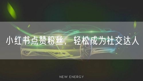 小红书点赞粉丝，轻松成为社交达人