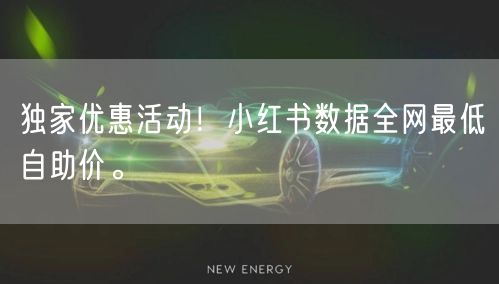 独家优惠活动!小红书数据全网最低自助价。