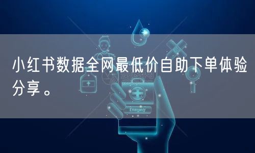 小红书数据全网最低价自助下单体验分享。