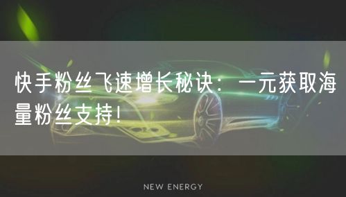 快手粉丝飞速增长秘诀：一元获取海量粉丝支持！