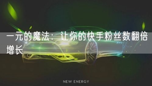 一元的魔法:让你的快手粉丝数翻倍增长