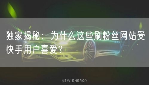 独家揭秘：为什么这些刷粉丝网站受快手用户喜爱？