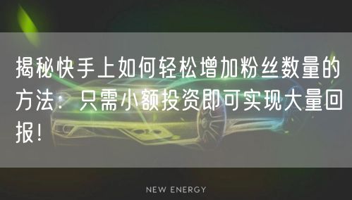 揭秘快手上如何轻松增加粉丝数量的方法：只需小额投资即可实现大量回报！