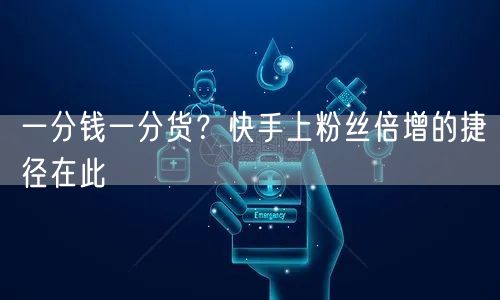 一分钱一分货？快手上粉丝倍增的捷径在此