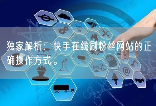 独家解析：快手在线刷粉丝网站的正确操作方式。