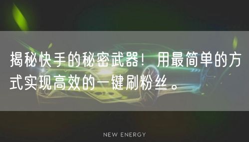 揭秘快手的秘密武器！用最简单的方式实现高效的一键刷粉丝。