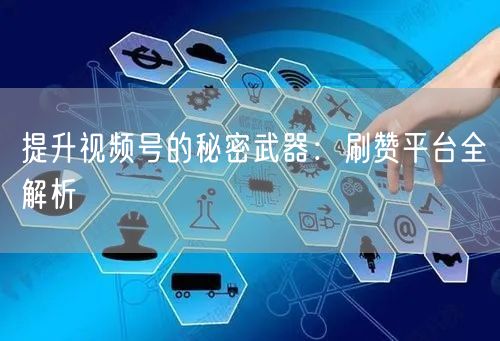 提升视频号的秘密武器：刷赞平台全解析