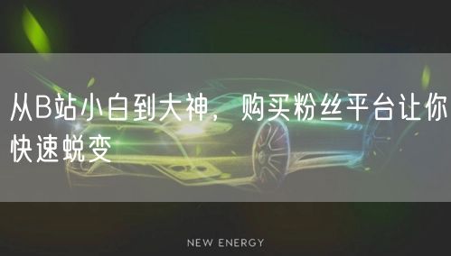 从B站小白到大神,购买粉丝平台让你快速蜕变