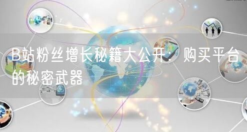 B站粉丝增长秘籍大公开：购买平台的秘密武器