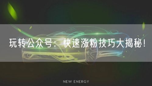 玩转公众号：快速涨粉技巧大揭秘！