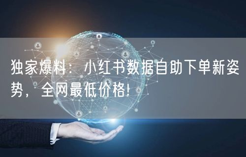 独家爆料：小红书数据自助下单新姿势，全网最低价格!