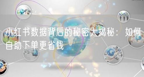 小红书数据背后的秘密大揭秘:如何自助下单更省钱