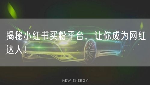 揭秘小红书买粉平台，让你成为网红达人！