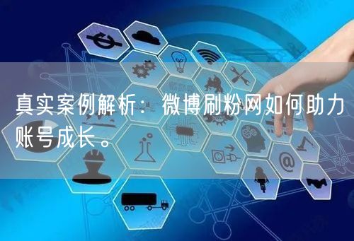 真实案例解析：微博刷粉网如何助力账号成长。