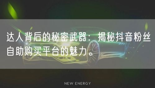 达人背后的秘密武器：揭秘抖音粉丝自助购买平台的魅力。