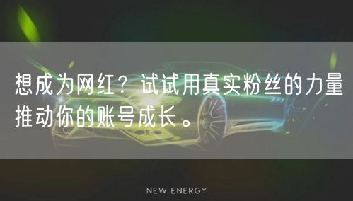 想成为网红？试试用真实粉丝的力量推动你的账号成长。