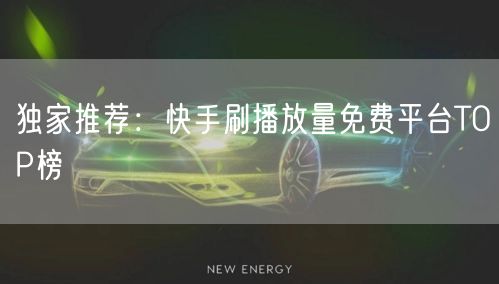 独家推荐:快手刷播放量免费平台TOP榜