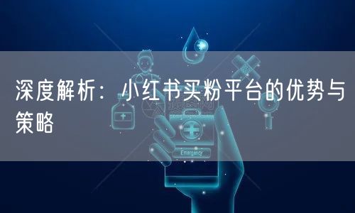深度解析：小红书买粉平台的优势与策略