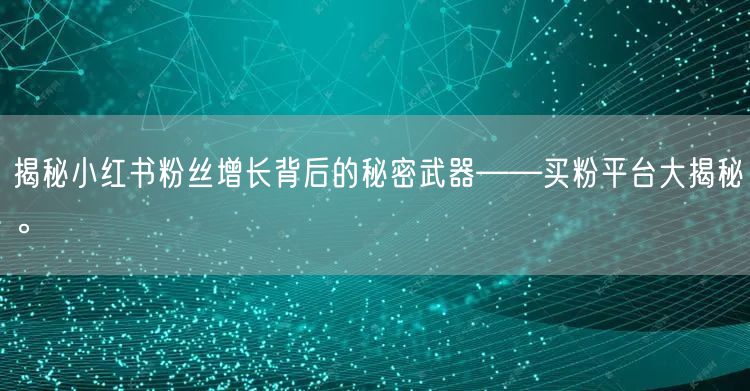 揭秘小红书粉丝增长背后的秘密武器——买粉平台大揭秘。