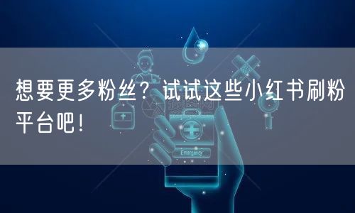 想要更多粉丝？试试这些小红书刷粉平台吧！