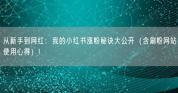 从新手到网红：我的小红书涨粉秘诀大公开（含刷粉网站使用心得）!